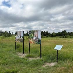 Art Location